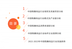 2022-2023年中国情趣用品行业及消费行为调查分析报告